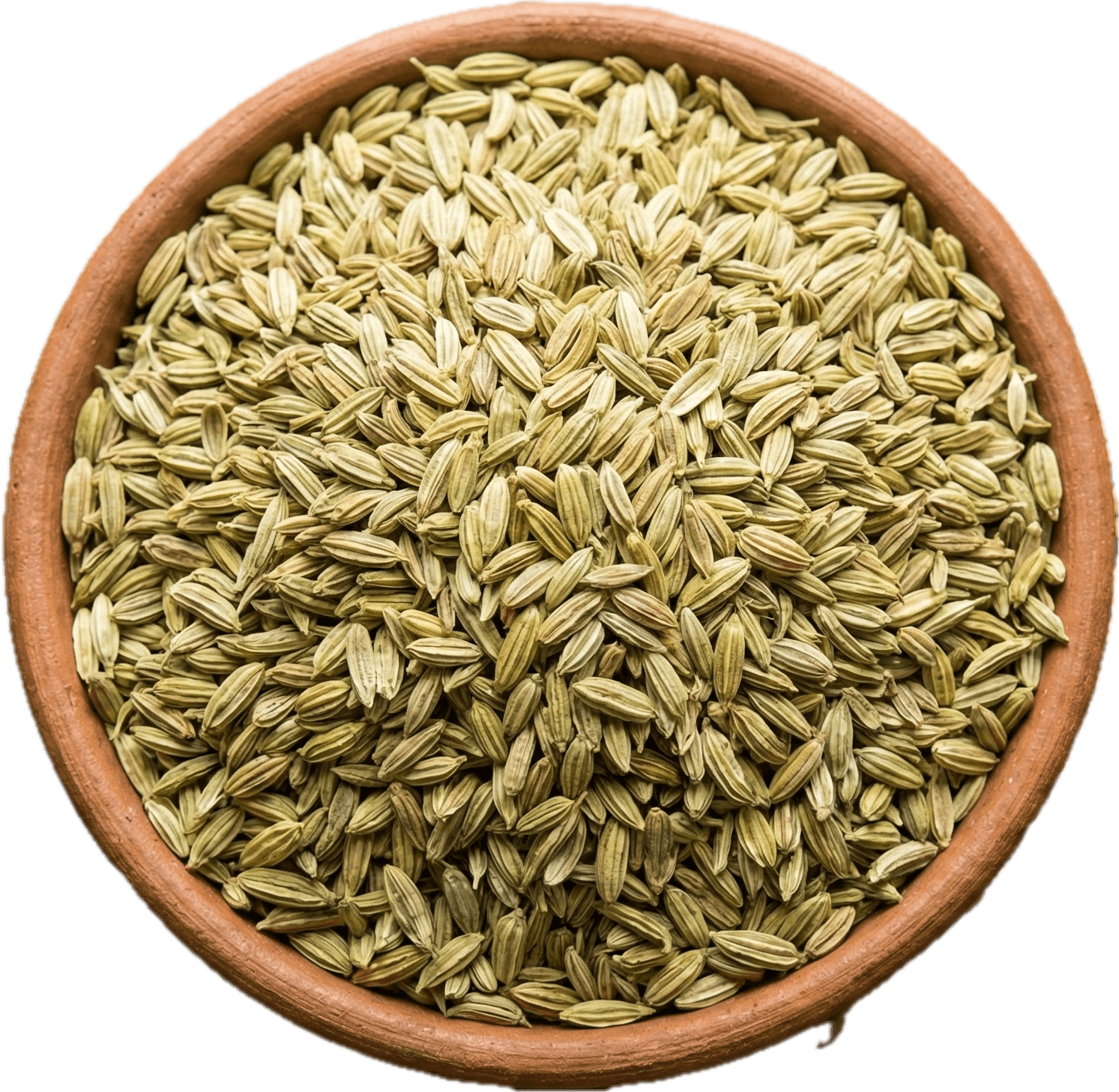 Variyali (Fennel-Seeds)